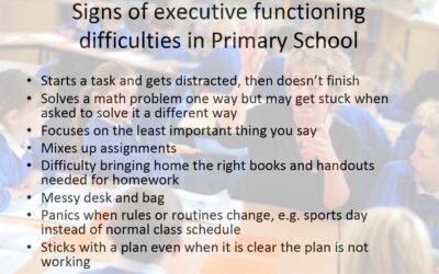 Signs of Executive Functioning difficulties in Primary School