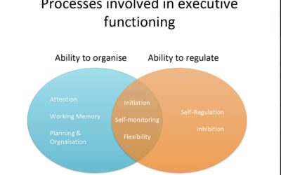 Processes involved in Executive Functioning