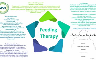 Feeding therapy – where to start? What is the SOS approach?