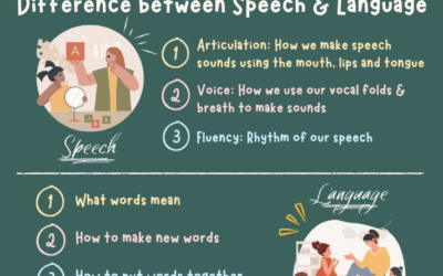 Difference between speech and language