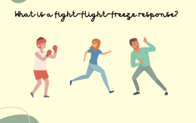 What is a fight fight freeze response?